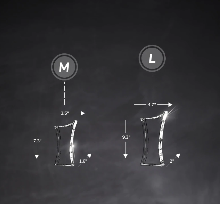 TROPHY CORPORATE AWARD